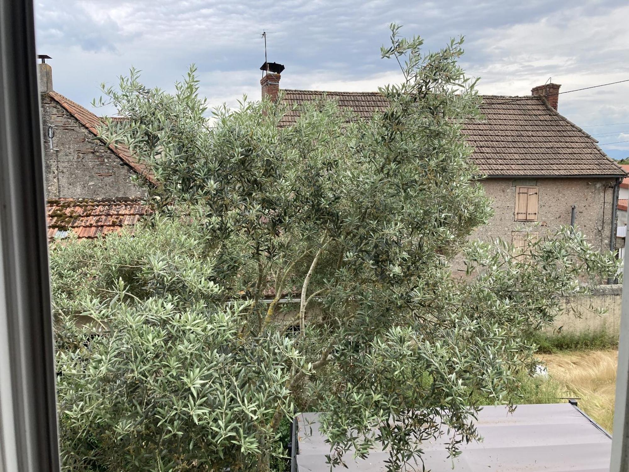 Location Appartement Des Pyrenees Borderes-sur-l'Echez Bilik gambar